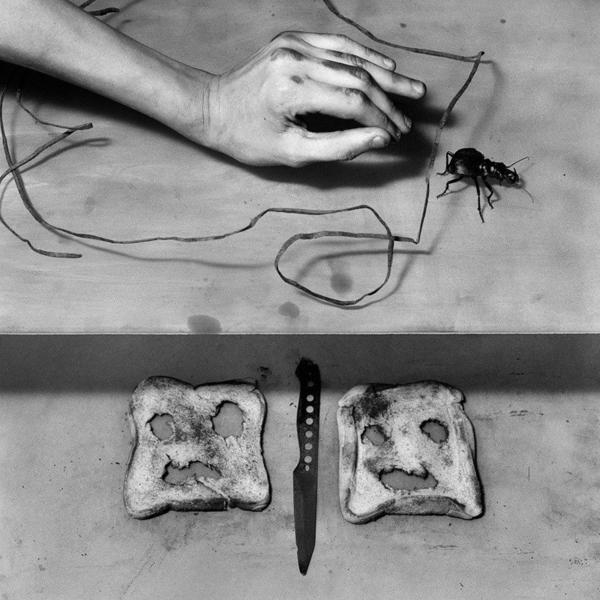 The Deep Dark World of Roger Ballen