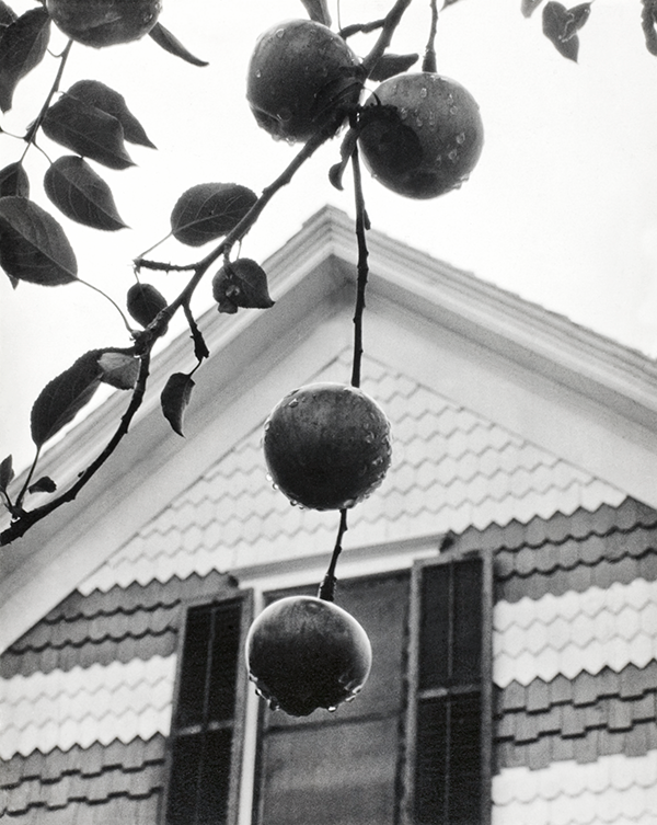 Shana Tova! A sweet start c/o Alfred Stieglitz