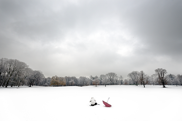 New! Joseph O. Holmes’ Winter Wonderlands