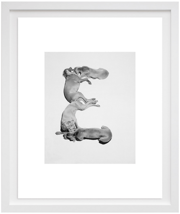 Wegman Wonderland: Take 30% Off Framing for Festivus!