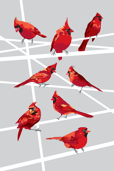 New Art Alert: UPSO's Graphic Cardinals #2