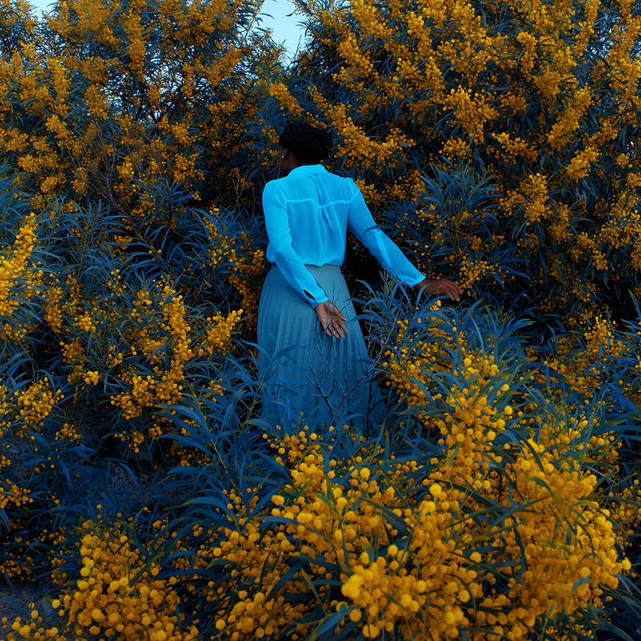 Nature Walk | 20x200
