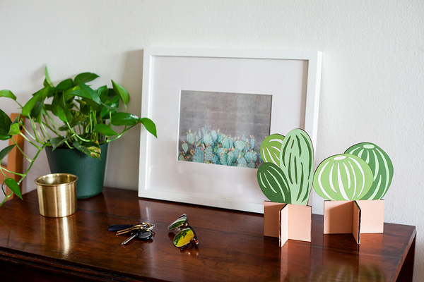 SR Flat Plants, Small Cactus Set of 2