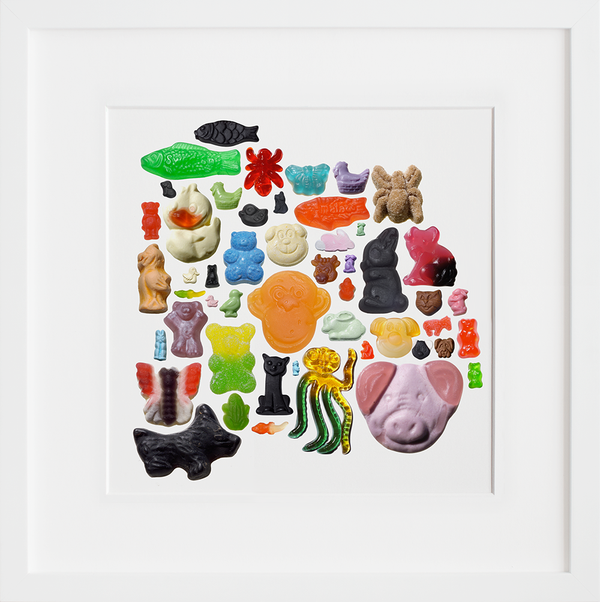 Animals I