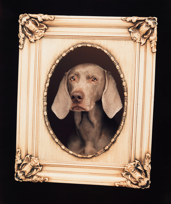 Self Portrait