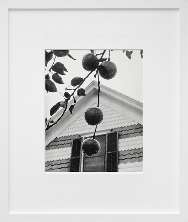 Gable and Apples