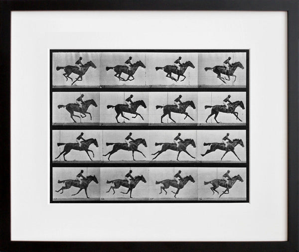 Animal Locomotion: Plate 626 (Galloping Horse)