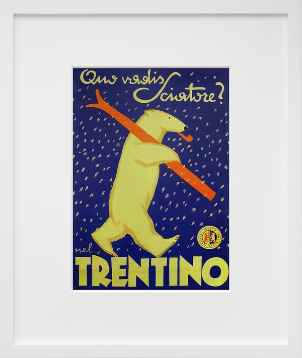 Trentino Ski Bear