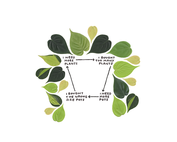 Plant Parenthood
