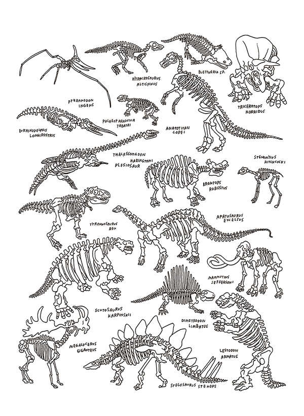 Dinosaurs at The American Museum of Natural History