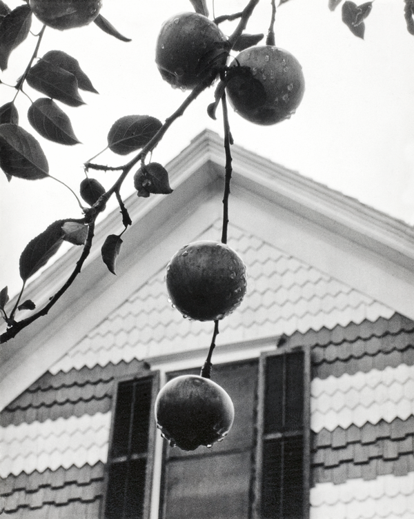 Gable and Apples