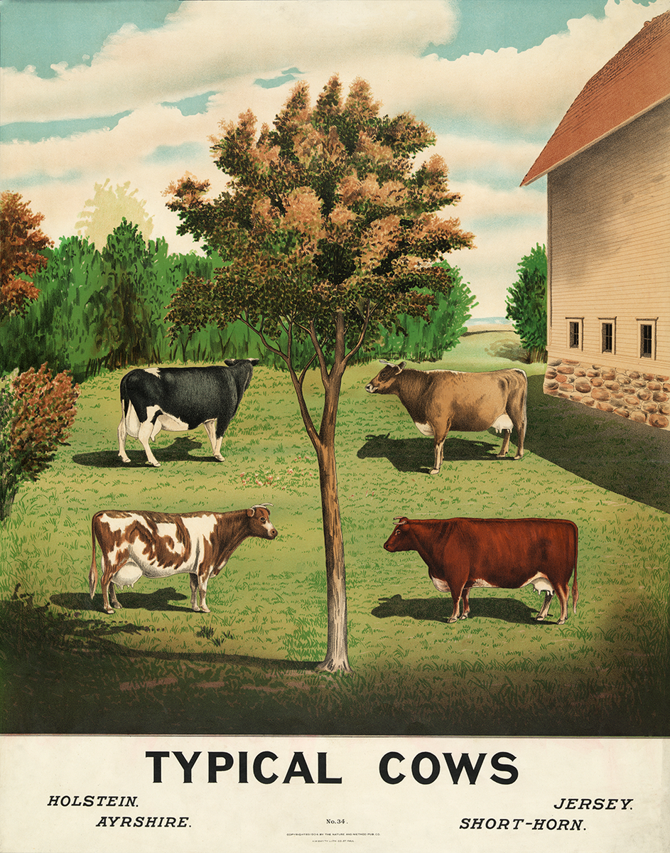 From Cows to Cartons – PRINT Magazine