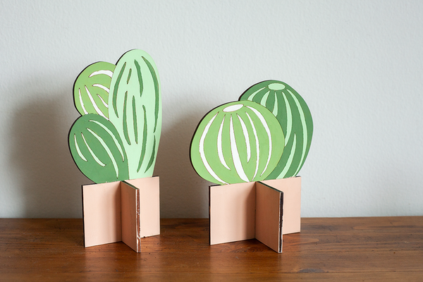 SR Flat Plants, Small Cactus Set of 2
