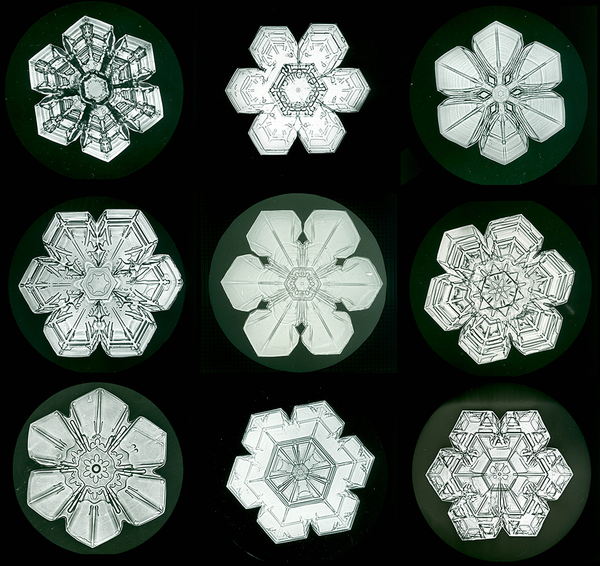 Snow Crystals