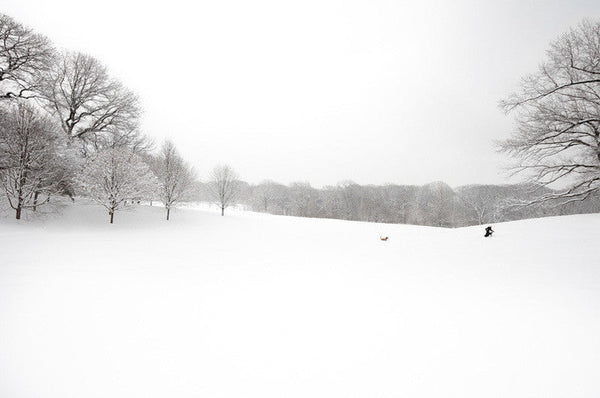North of the Tennis House