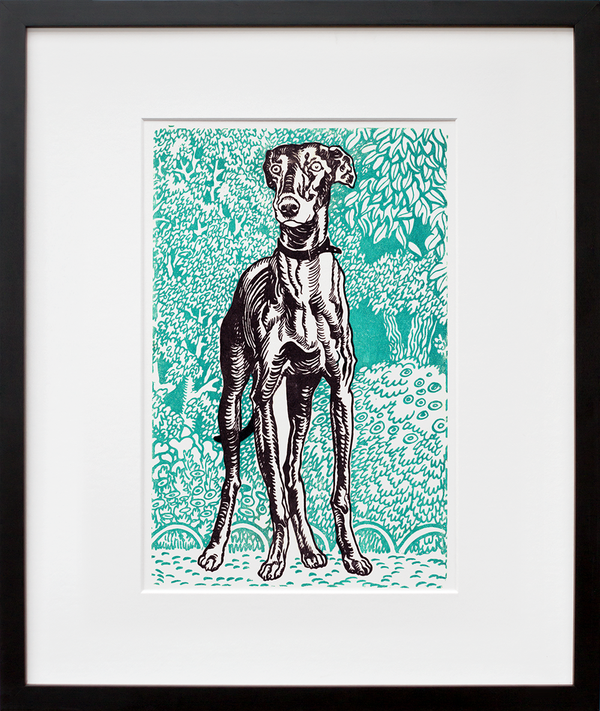 Greyhound