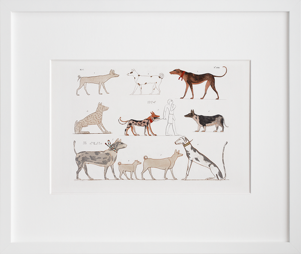Varie specie di cani