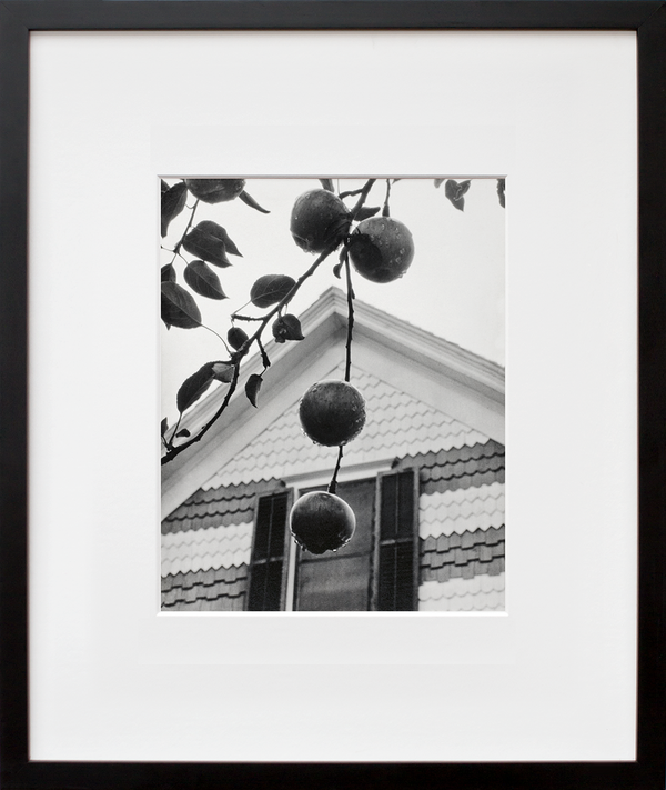 Gable and Apples