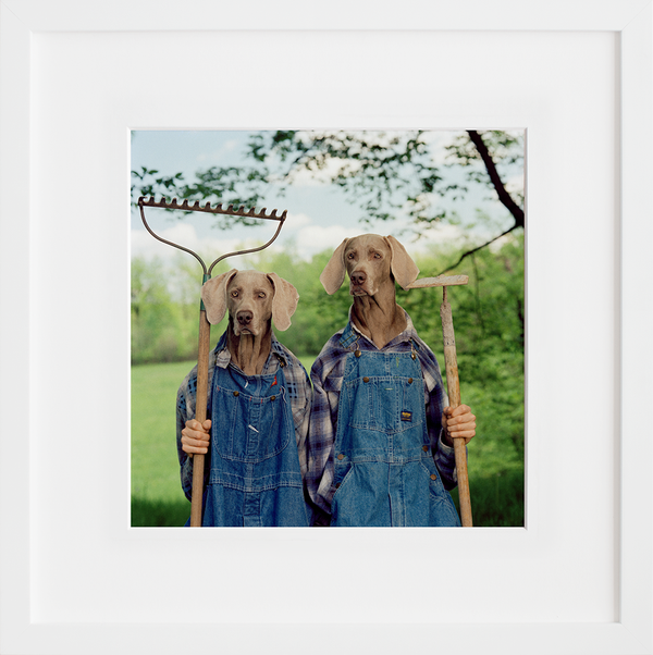 Farm Days