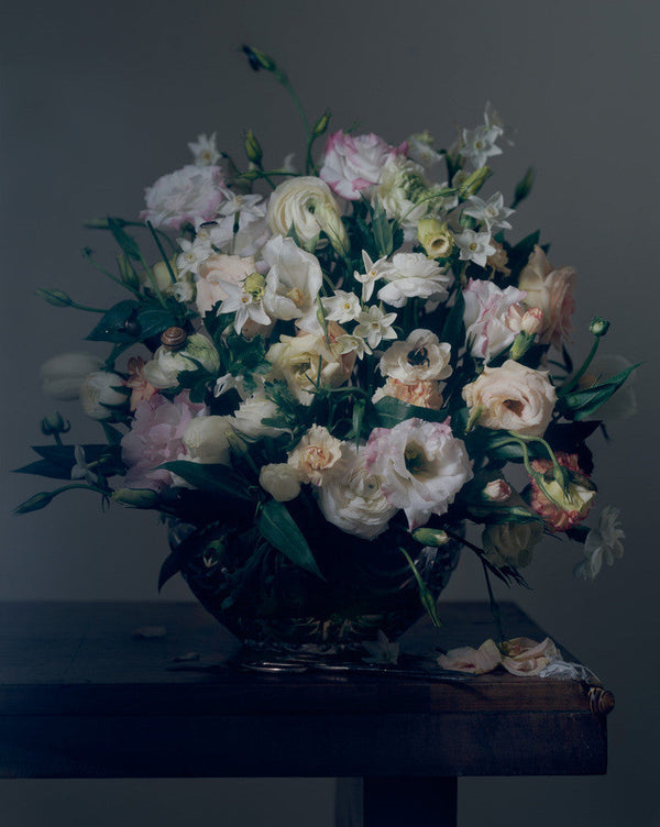 Floral and Insects