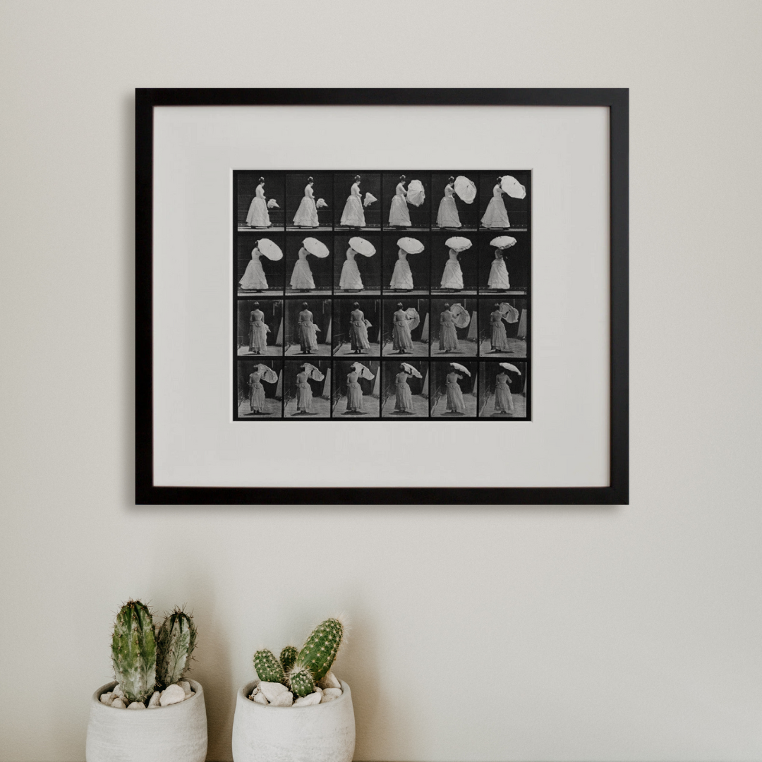 Eadweard Muybridge's Animal Locomotion: Plate 38 Woman Opening Parasol Eadweard Muybridge's Animal Locomotion: Plate 38 Woman Opening Parasol