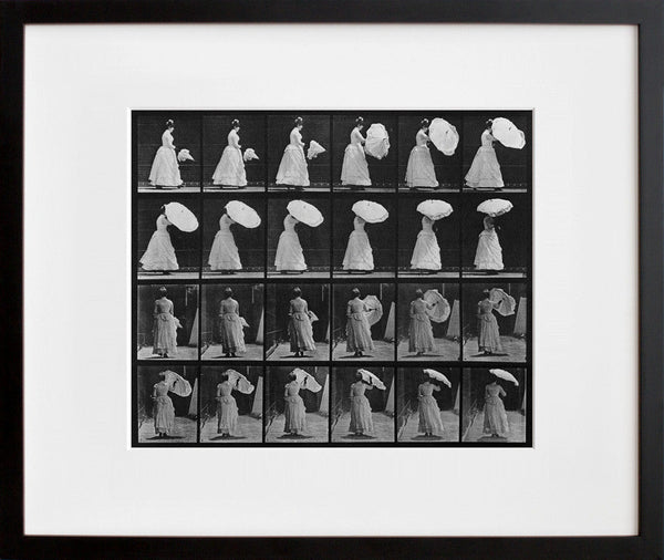 Animal Locomotion: Plate 38 (Woman Opening Parasol)