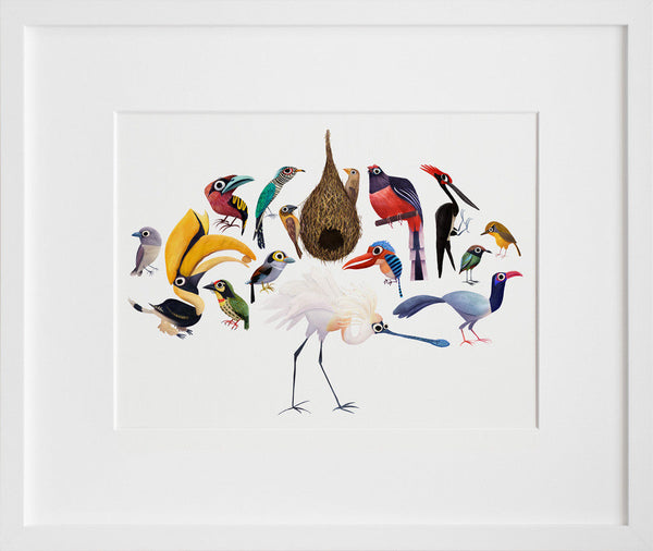 Aves