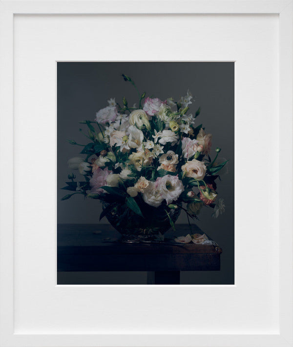 Floral and Insects