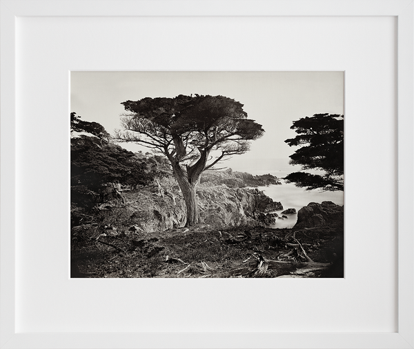 Cypress Point, Monterey