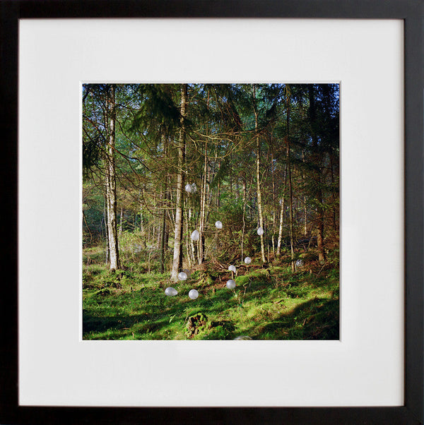 Eivind