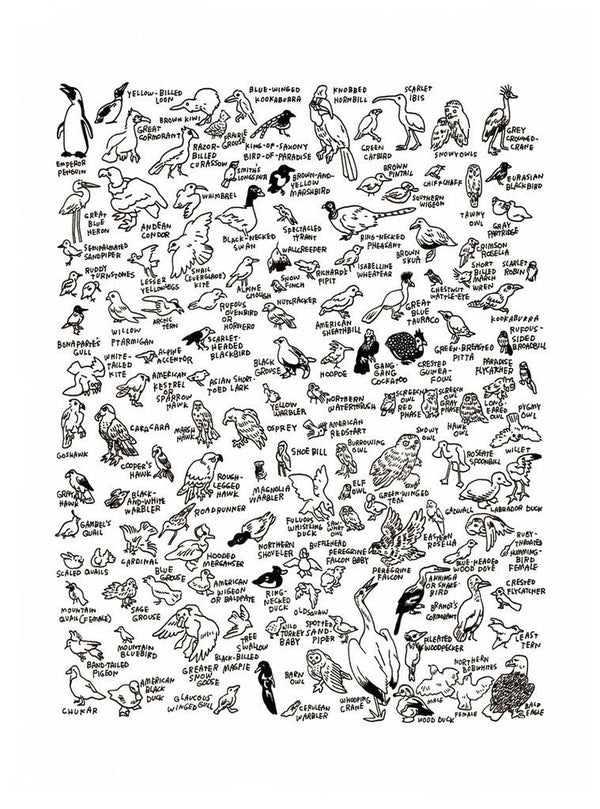 132 Birds at The American Museum of Natural History