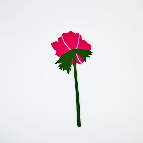 Forever Flowers