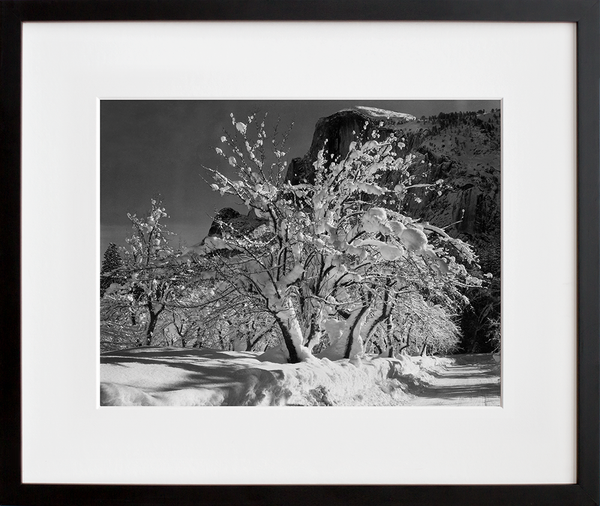 Half Dome, Apple Orchard, Yosemite