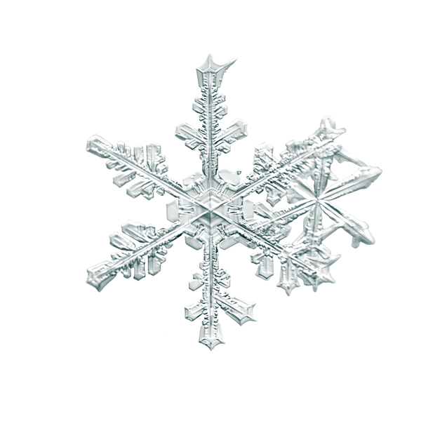alleverythingthatisyou sno6_005.1