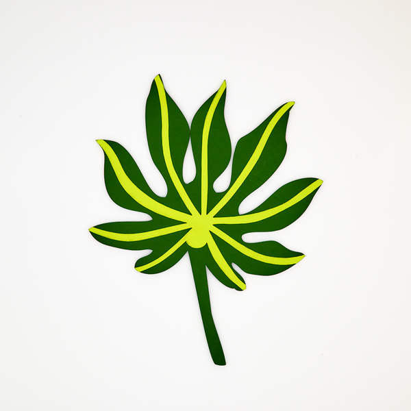 Forever Flowers