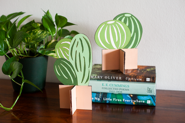 SR Flat Plants, Small Cactus Set of 2