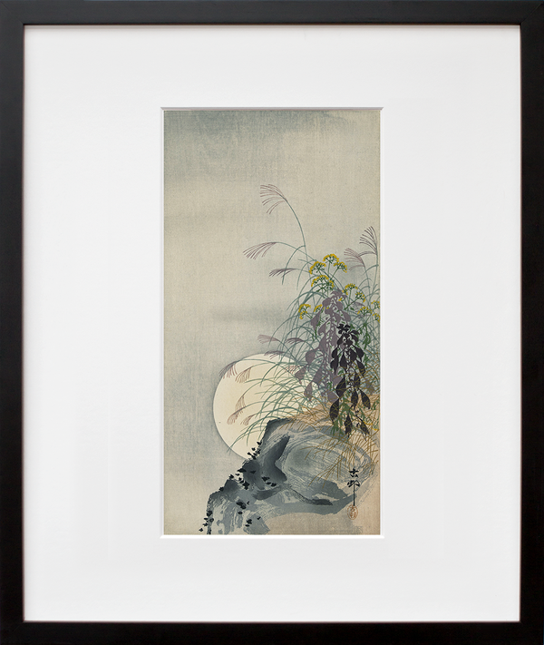 Grasses at full moon