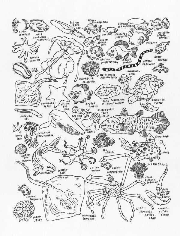 Sea Creatures at The American Museum of Natural History