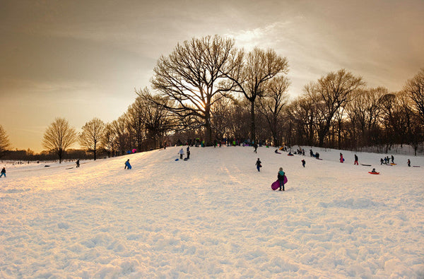 The Sledding Hill (Dusk)