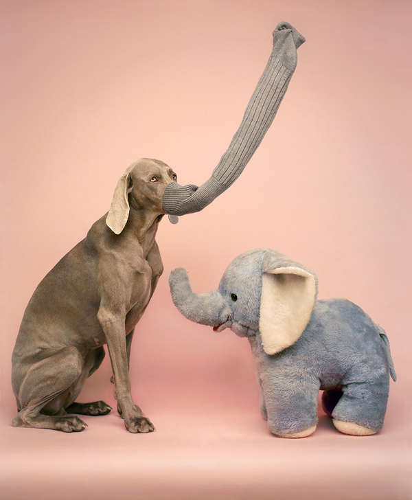 No Fun Sleeping Under A Picture Like This + Pink Elephants