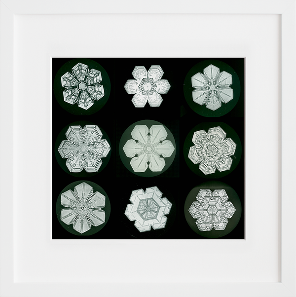 Snow Crystals