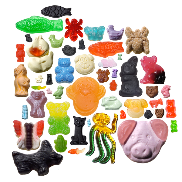 Animals I