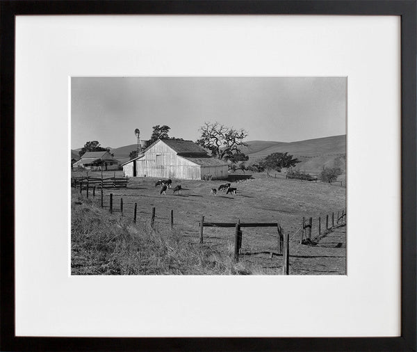 Small Farm of California, Contra Costa County