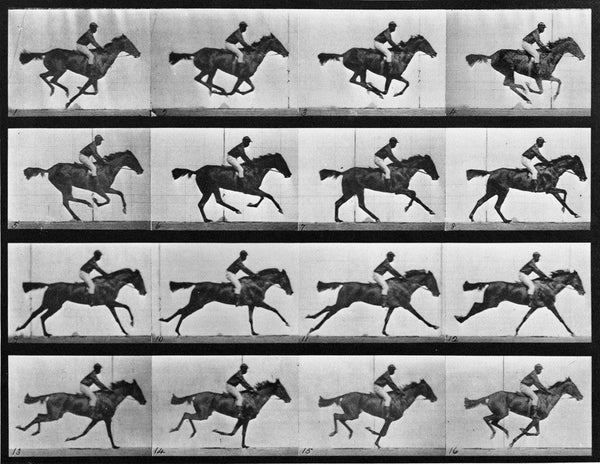 Animal Locomotion: Plate 626 (Galloping Horse)