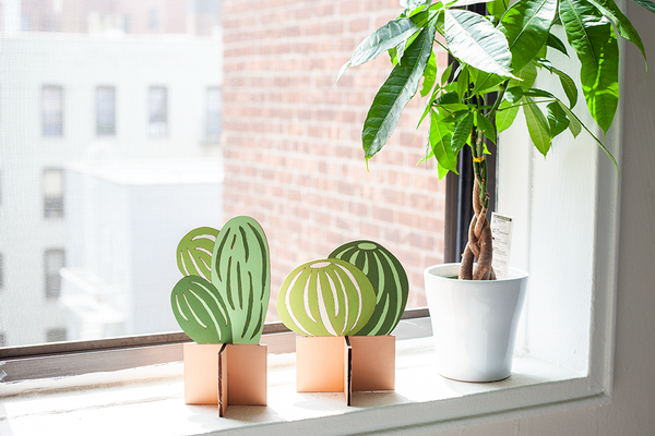 SR Flat Plants, Small Cactus Set of 2