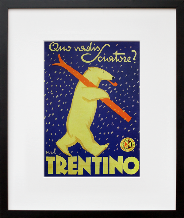 Trentino Ski Bear