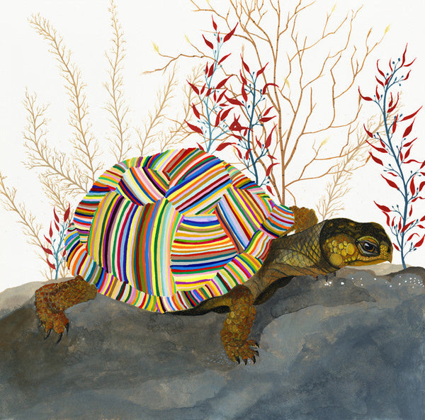 The Tortoise