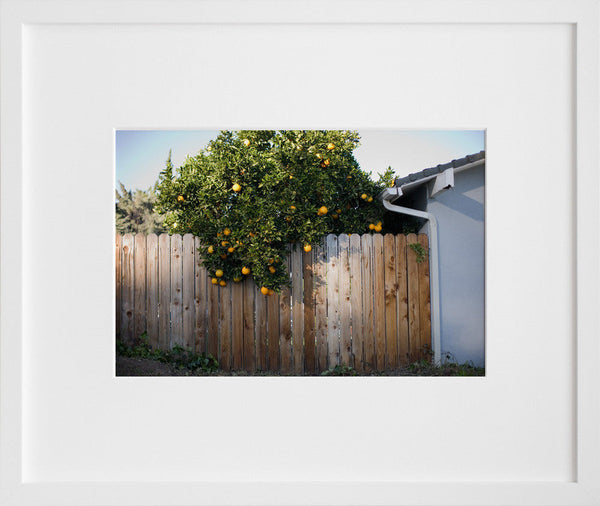 Untitled (Santa Barbara) (2009)