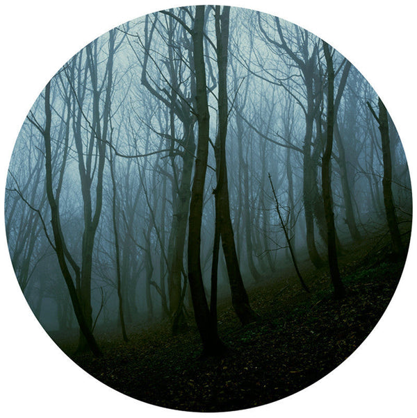 Blackford Forest