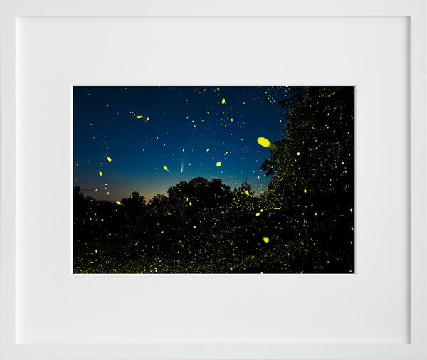 Comet NEOWISE, Fireflies and the Hudson Valley Dawn. Columbia County, NY